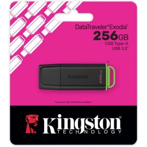 Kingston USB 3.2 Flash Drive DTXG2/256GB